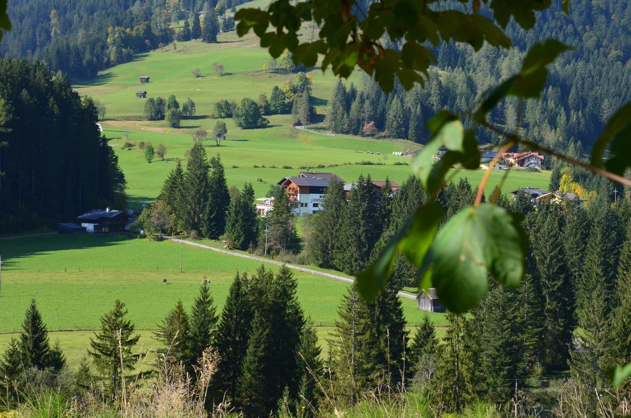 Apartment Tennengebirge Sankt Martin am Tennengebirge Exterior photo